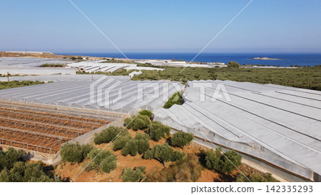Greenhouses and olive groves along the Mediterranean coast in Falassarna, Crete, Greece, with blue sea under clear sky Greenhouses and olive groves along the Mediterranean coast in Falassarna, Crete, Greece, with blue sea under clear sky 142335293