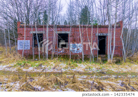 Abandoned red brick building with broken windows among birch trees in late winter landscape Abandoned red brick building with broken windows among birch trees in late winter landscape 142335474