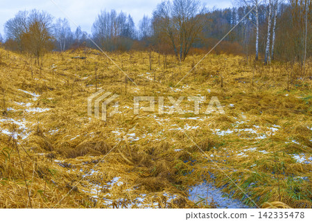 Autumn meadow with frost patches, shallow puddles, leafless birch trees, and muted overcast light Autumn meadow with frost patches, shallow puddles, leafless birch trees, and muted overcast light 142335478