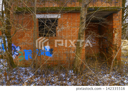 Abandoned brick building covered with graffiti, open doorway and leafless shrubs in wintry foreground 142335516