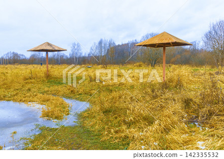 Weathered wooden sunshades standing in overgrown marshland beside shallow pools under cloudy sky Weathered wooden sunshades standing in overgrown marshland beside shallow pools under cloudy sky 142335532