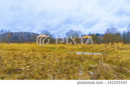 Abandoned picnic shelters standing in overgrown golden meadow beneath cloudy winter sky Abandoned picnic shelters standing in overgrown golden meadow beneath cloudy winter sky 142335543