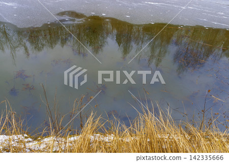 Reflection of bare trees in partially frozen pond with dried grasses at shoreline Reflection of bare trees in partially frozen pond with dried grasses at shoreline 142335666