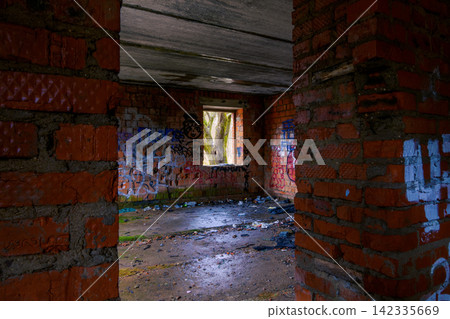Abandoned brick building interior with graffiti walls, debris floor, and window framing tree Abandoned brick building interior with graffiti walls, debris floor, and window framing tree 142335669