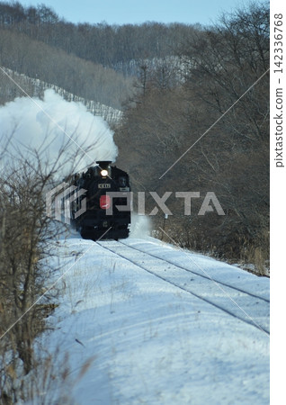 SL 冬季沼澤列車 C11 171 沿著白雪皚皚的仙茂主線行駛,冒出滾滾白煙。 SL 冬季沼澤列車 C11 171 沿著白雪皚皚的仙茂主線行駛,冒出滾滾白煙。 142336768