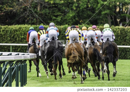 A scene from a horse racing track: a horse turning a corner in Niigata City, Niigata Prefecture. A scene from a horse racing track: a horse turning a corner in Niigata City, Niigata Prefecture. 142337203