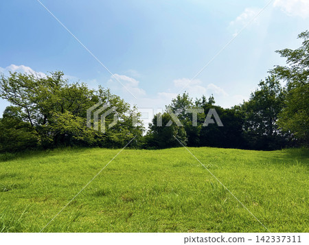 綠草茵茵的小山 綠草茵茵的小山 142337311