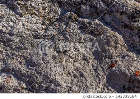 Close-up Texture of Rough Rock Surface with Lichen and Moss Close-up Texture of Rough Rock Surface with Lichen and Moss 142339164