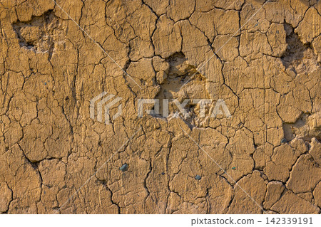 Cracked Earth Wall Texture with Embedded Stones Cracked Earth Wall Texture with Embedded Stones 142339191