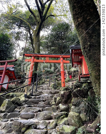 通往祐德稻荷神社內殿的石階和鳥居(佐賀縣鹿島市) 通往祐德稻荷神社內殿的石階和鳥居(佐賀縣鹿島市) 142339813