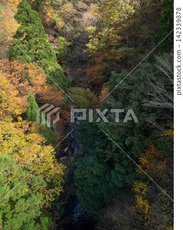 A mountain stream flows through the mountains, enveloped in autumn foliage. A mountain stream flows through the mountains, enveloped in autumn foliage. 142339878