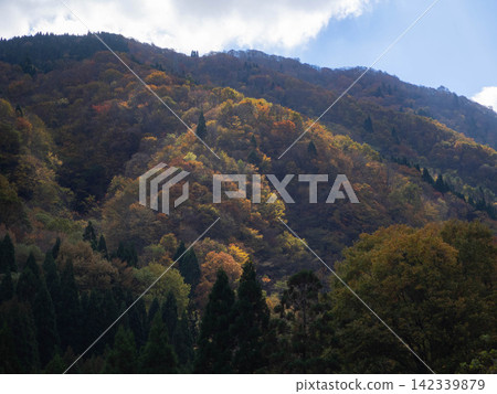 The mountain slopes are dyed in autumn colors, and the sky is blue. The mountain slopes are dyed in autumn colors, and the sky is blue. 142339879