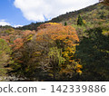秋日的山巒和樹葉在藍天下變色 142339886