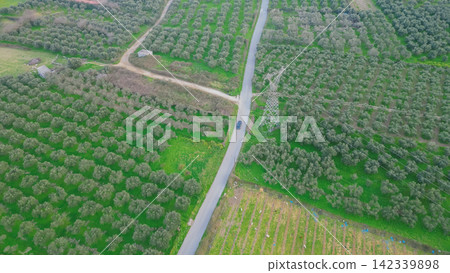 A car travels along a winding road surrounded by expansive olive fields in Crete, highlighting the rich green landscape of the Mediterranean region with neatly arranged rows of trees and farmland A car travels along a winding road surrounded by expansive olive fields in Crete, highlighting the rich green landscape of the Mediterranean region with neatly arranged rows of trees and farmland 142339898