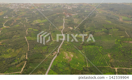 Aerial perspective of a winding road meandering through expansive olive fields in Crete, highlighting the rich greenery of the Mediterranean landscape and a distant village nestled among the hills Aerial perspective of a winding road meandering through expansive olive fields in Crete, highlighting the rich greenery of the Mediterranean landscape and a distant village nestled among the hills 142339904