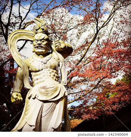 秋葉環繞的仁王雕像(福岡縣笹栗町) 秋葉環繞的仁王雕像(福岡縣笹栗町) 142340004