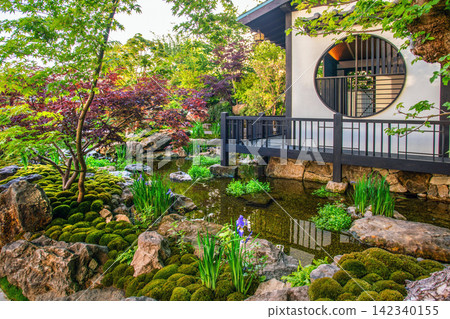 Panorama of Japanese garden with pond and part of small Japanese pavilion at Che3lsea Flower Sho Panorama of Japanese garden with pond and part of small Japanese pavilion at Che3lsea Flower Sho 142340155