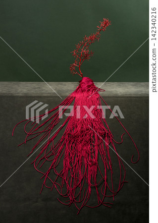 Red grapevine with long red strands on a green background Red grapevine with long red strands on a green background 142340216