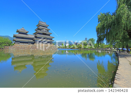 長野縣松本市國寶松本城風景 142340428