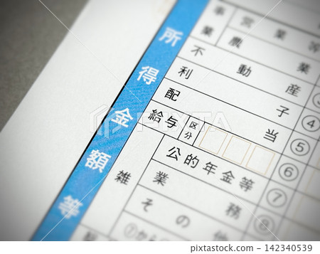 所得稅申報表中的「就業收入」部分 所得稅申報表中的「就業收入」部分 142340539