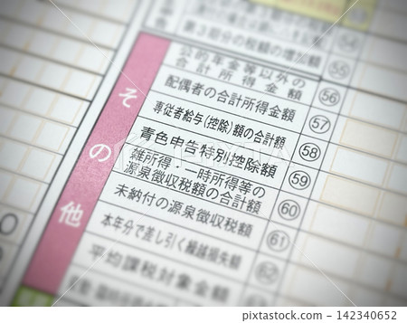 所得稅申報表中「藍色申報表的特殊扣除額」部分 所得稅申報表中「藍色申報表的特殊扣除額」部分 142340652