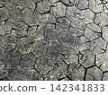 Wooden  Floor of Hexagonal Blocks. Natural Textured Background. 142341833