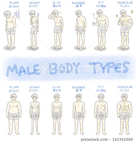 一組對比男性體型變化和體型的插圖。 一組對比男性體型變化和體型的插圖。 142342080