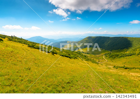 mountainous countryside landscape in summer. grassy meadow on top of a hill. mountain ridge with forested slopes in the distance. sunny weather with clouds on the blue sky mountainous countryside landscape in summer. grassy meadow on top of a hill. mountain ridge with forested slopes in the distance. sunny weather with clouds on the blue sky 142343491
