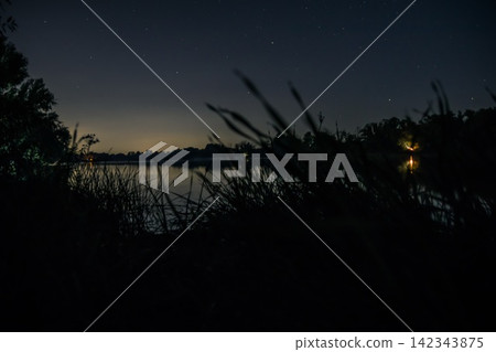 Forest and river in the evening, the stars all over the sky Forest and river in the evening, the stars all over the sky 142343875