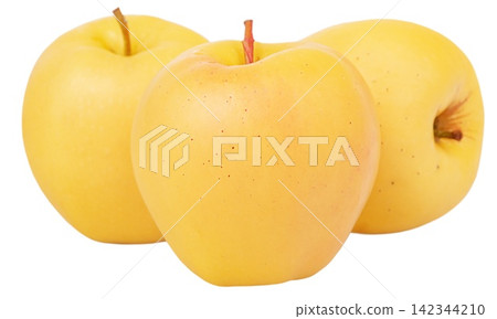 Three yellow apples of the Golden Delicious variety, isolated. The fruit is a delicious apple. Three yellow apples of the Golden Delicious variety, isolated. The fruit is a delicious apple. 142344210