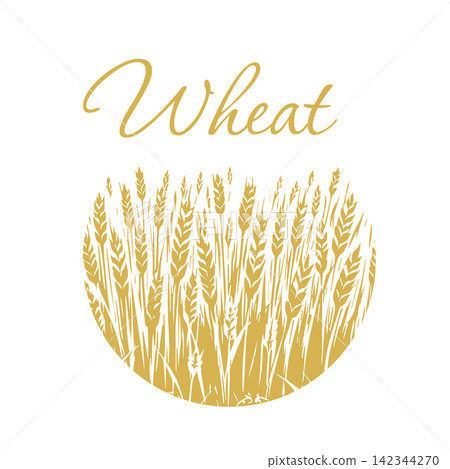 Graphic silhouettes of grain ears . Round wreath of wheat ears Hand drawn. Not AI, vector illustration. Graphic silhouettes of grain ears . Round wreath of wheat ears Hand drawn. Not AI, vector illustration. 142344270