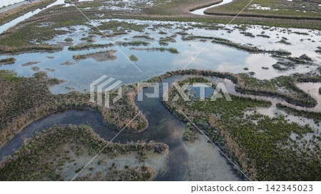 An aerial drone shot capturing the serene landscape of Lio Piccolo in the Venetian Lagoon during the quiet hours of dusk. An aerial drone shot capturing the serene landscape of Lio Piccolo in the Venetian Lagoon during the quiet hours of dusk. 142345023