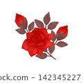 A small floral arrangement. Red, scarlet roses, watercolor, pastel. Isolated composition. Hand drawn in a flat style. A design element for printing 142345227