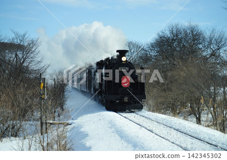 蒸汽機車「冬季沼澤特快」C11 171 駛來,揚起陣陣雪花和白煙。 蒸汽機車「冬季沼澤特快」C11 171 駛來,揚起陣陣雪花和白煙。 142345302