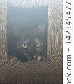 看 142345477