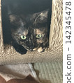 看 142345478