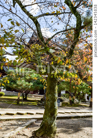 Autumn in Kyoto - the season of autumn leaves Autumn in Kyoto - the season of autumn leaves 142345838