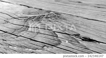 Rustic style monochrome wooden boards with natural wood grain texture. Rustic style monochrome wooden boards with natural wood grain texture. 142346147
