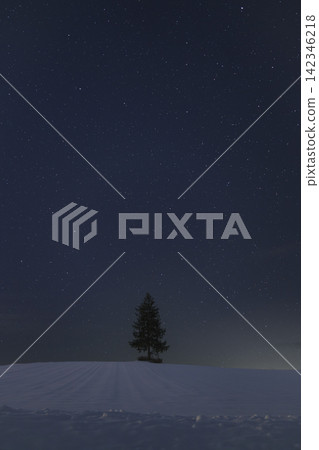 北海道美瑛町:【日落之樹】寂靜的雪夜 北海道美瑛町:【日落之樹】寂靜的雪夜 142346218