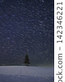 北海道美瑛町：【日落之樹】雪與流星空 142346221