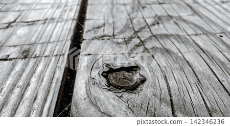 Black and white weathered wood texture with details of wood knots and grain that stand out. Black and white weathered wood texture with details of wood knots and grain that stand out. 142346236