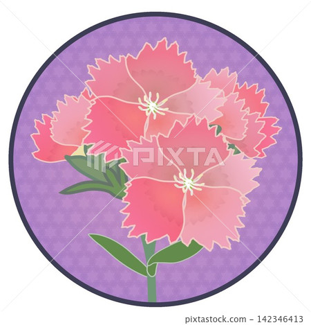 Illustration of a salmon pink dianthus with a circular background. Illustration of a salmon pink dianthus with a circular background. 142346413