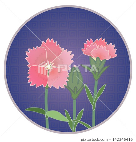 Illustration of a salmon pink dianthus with a circular background. Illustration of a salmon pink dianthus with a circular background. 142346416