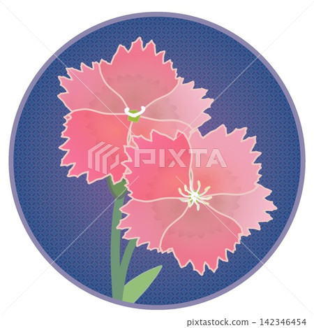 Illustration of a salmon pink dianthus with a circular background. Illustration of a salmon pink dianthus with a circular background. 142346454