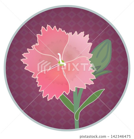 Illustration of a salmon pink dianthus with a circular background. Illustration of a salmon pink dianthus with a circular background. 142346475