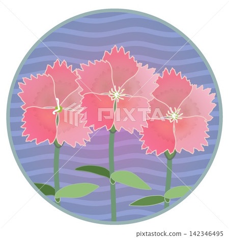 Illustration of a salmon pink dianthus with a circular background. Illustration of a salmon pink dianthus with a circular background. 142346495
