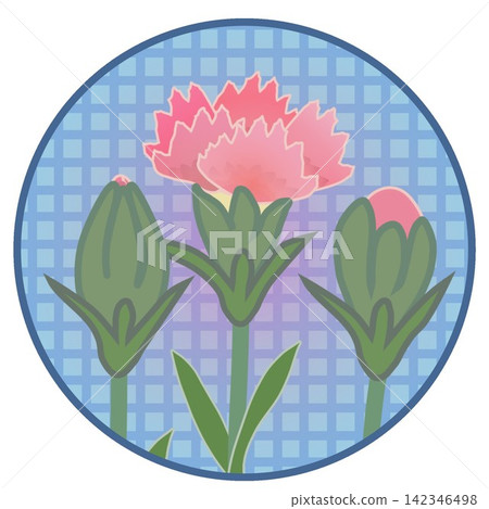 Illustration of a salmon pink dianthus with a circular background. Illustration of a salmon pink dianthus with a circular background. 142346498
