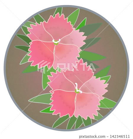 Illustration of a salmon pink dianthus with a circular background. Illustration of a salmon pink dianthus with a circular background. 142346511