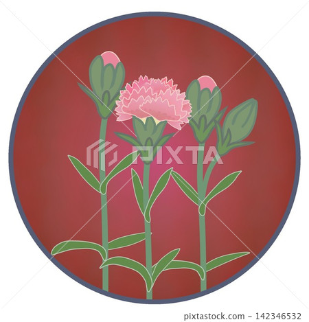 一幅鮭魚粉紅色石竹花的插圖,背景為圓形。 一幅鮭魚粉紅色石竹花的插圖,背景為圓形。 142346532