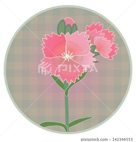 Illustration of a salmon pink dianthus with a circular background. Illustration of a salmon pink dianthus with a circular background. 142346553